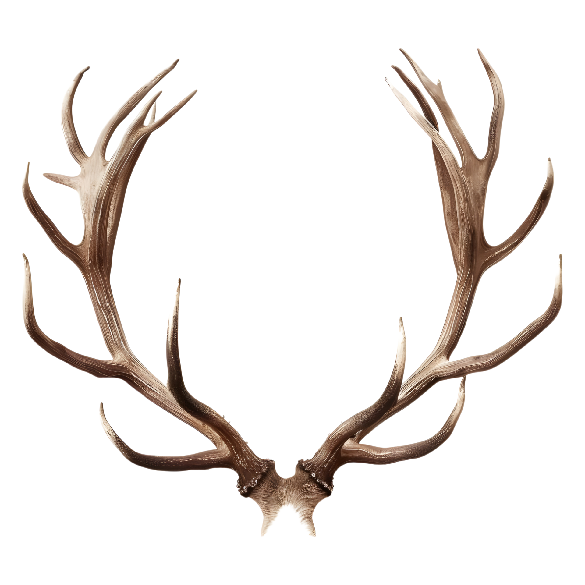 feature-item-1